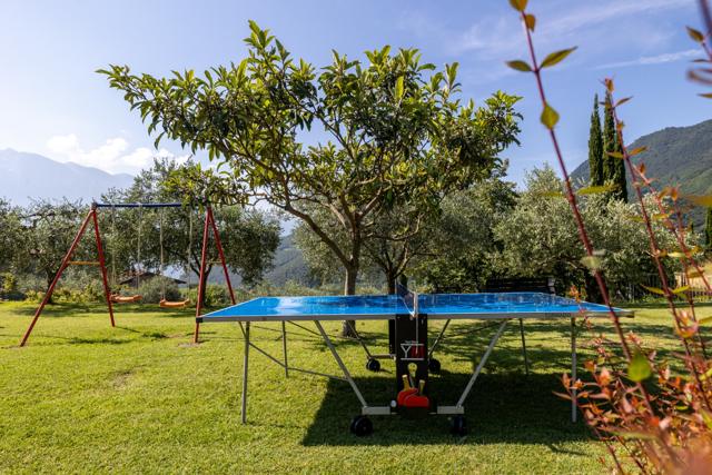 Ping-pong
