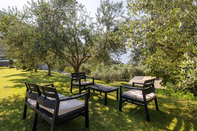 Salottino all'ombra degli ulivi
