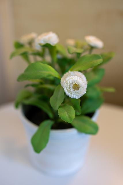 Fiori sul tavolo